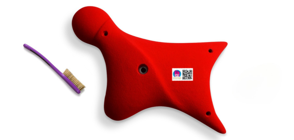 Speedholds IFSC Hand XXL